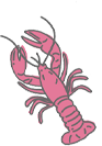 Lobster