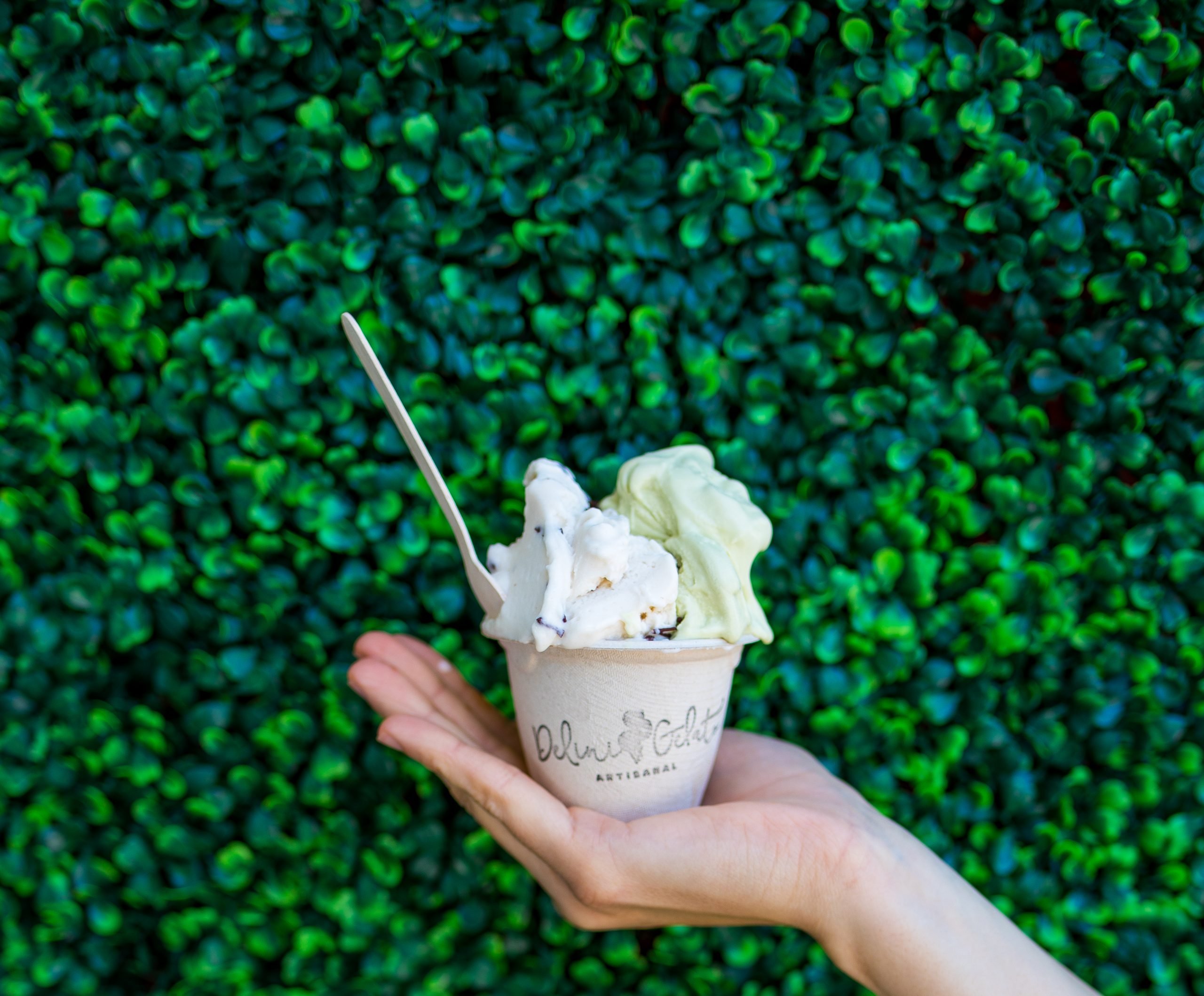 cup of Delini Gelato Boston