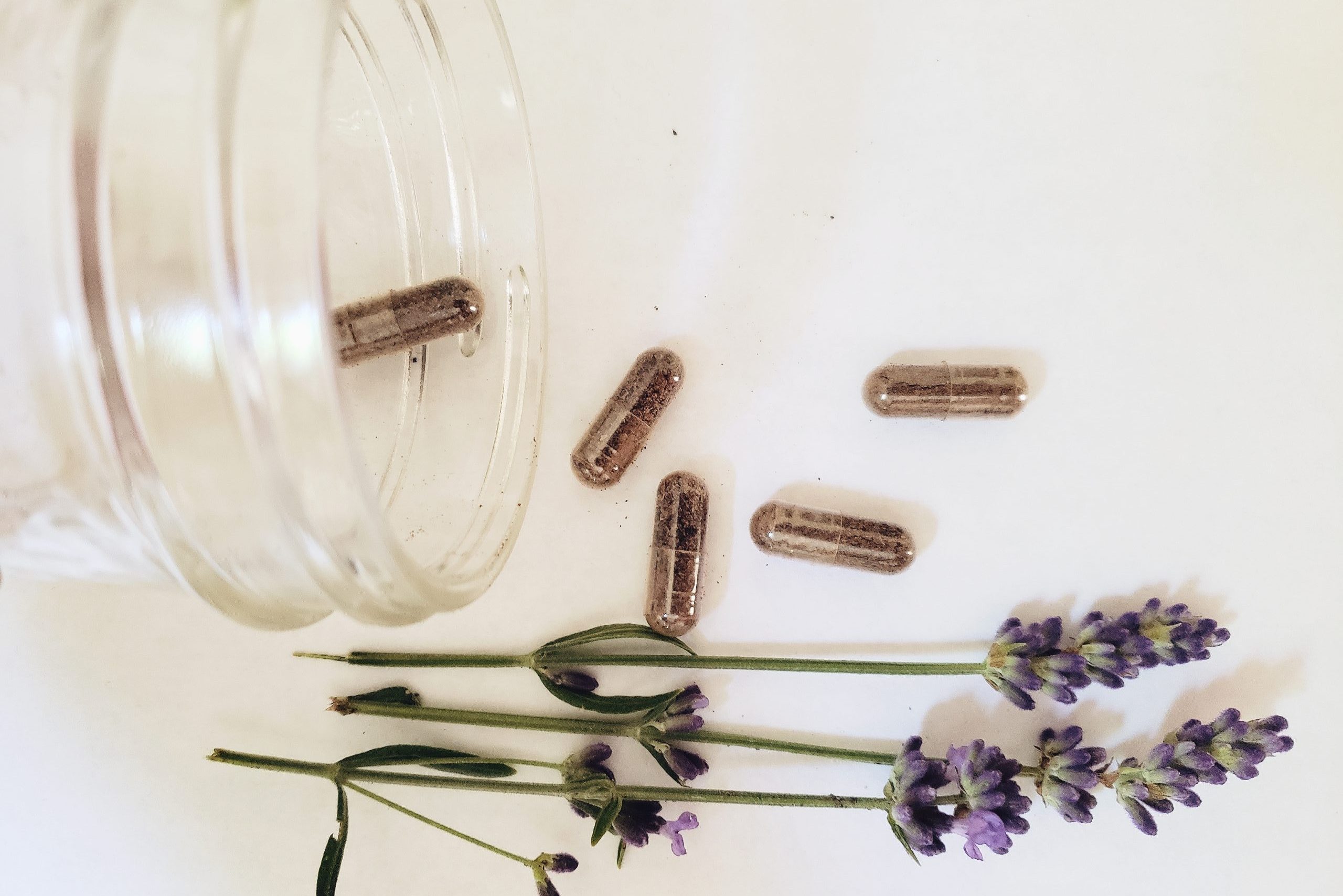 placenta encapsulation - Boston Moms