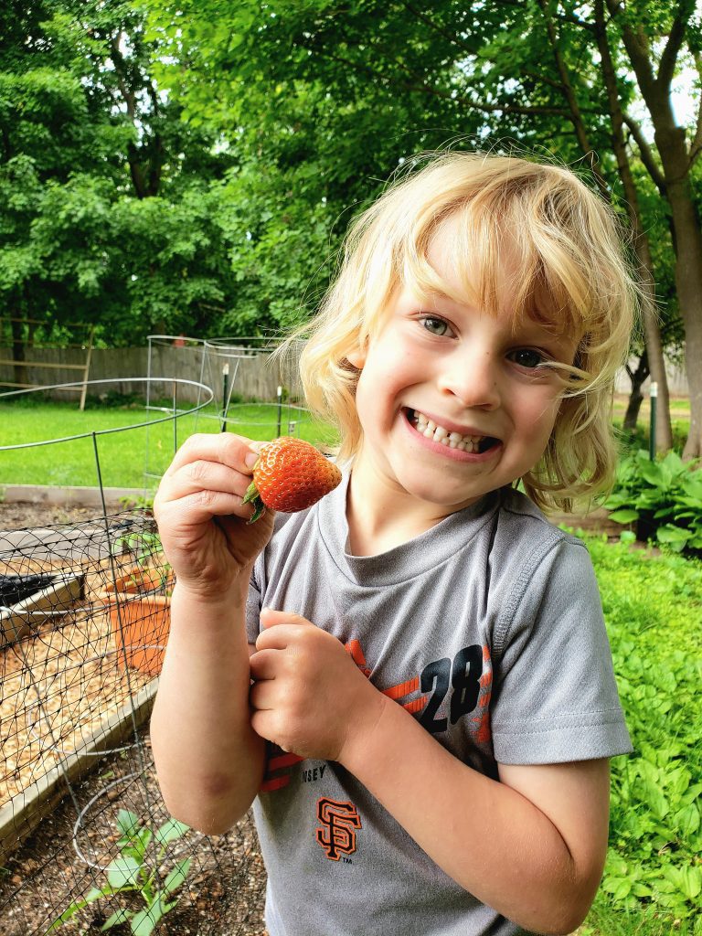 gardening - Boston Moms