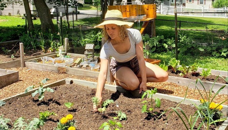 gardening - Boston Moms
