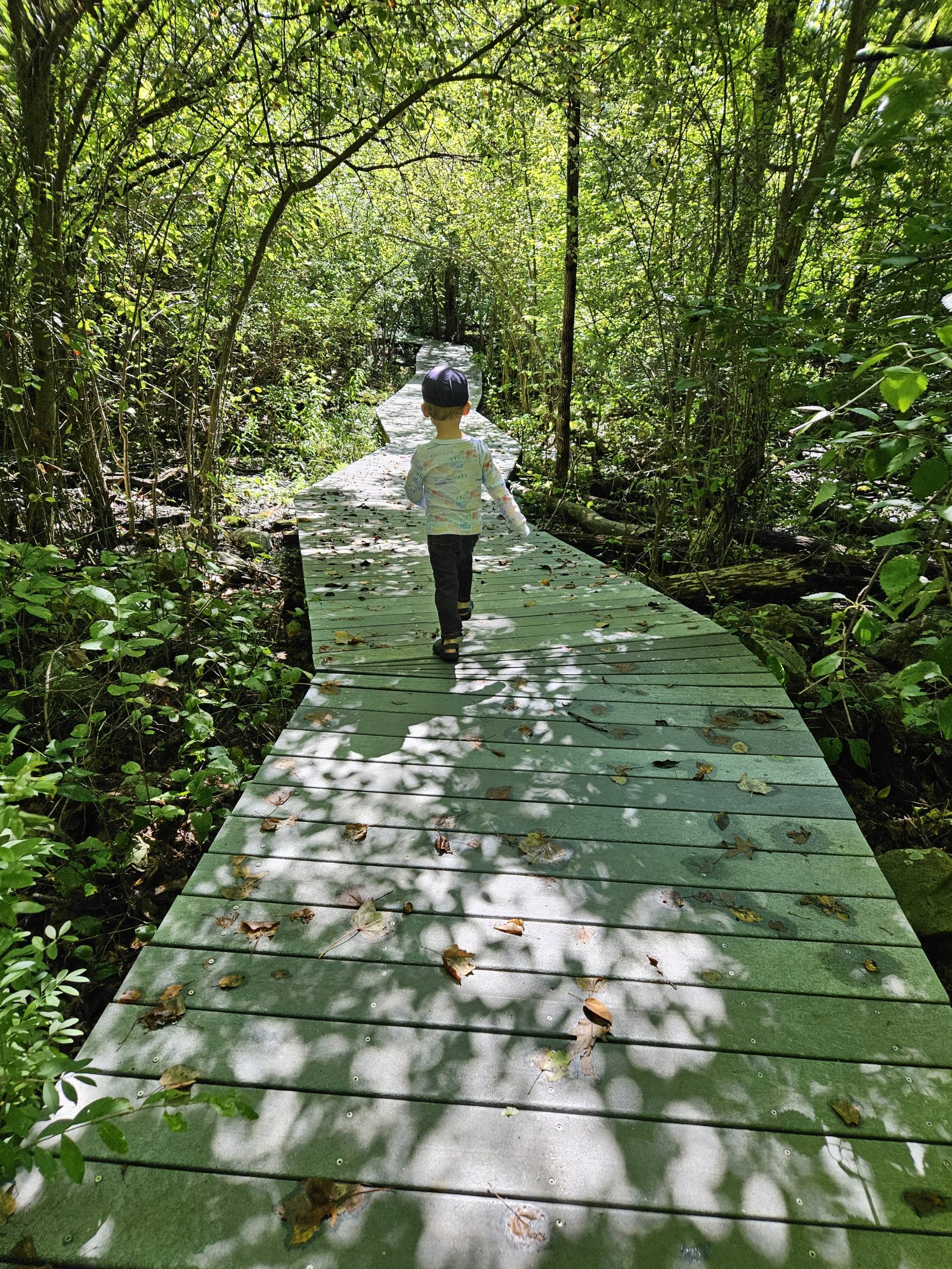 Toddler on boardwalk in forest