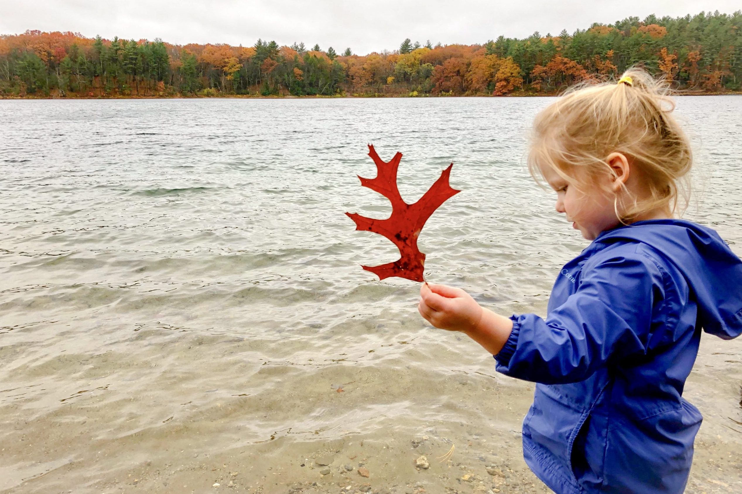 terrible day perspective - Boston Moms