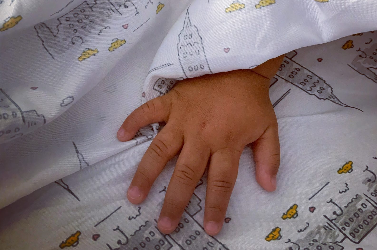 Baby's Hand