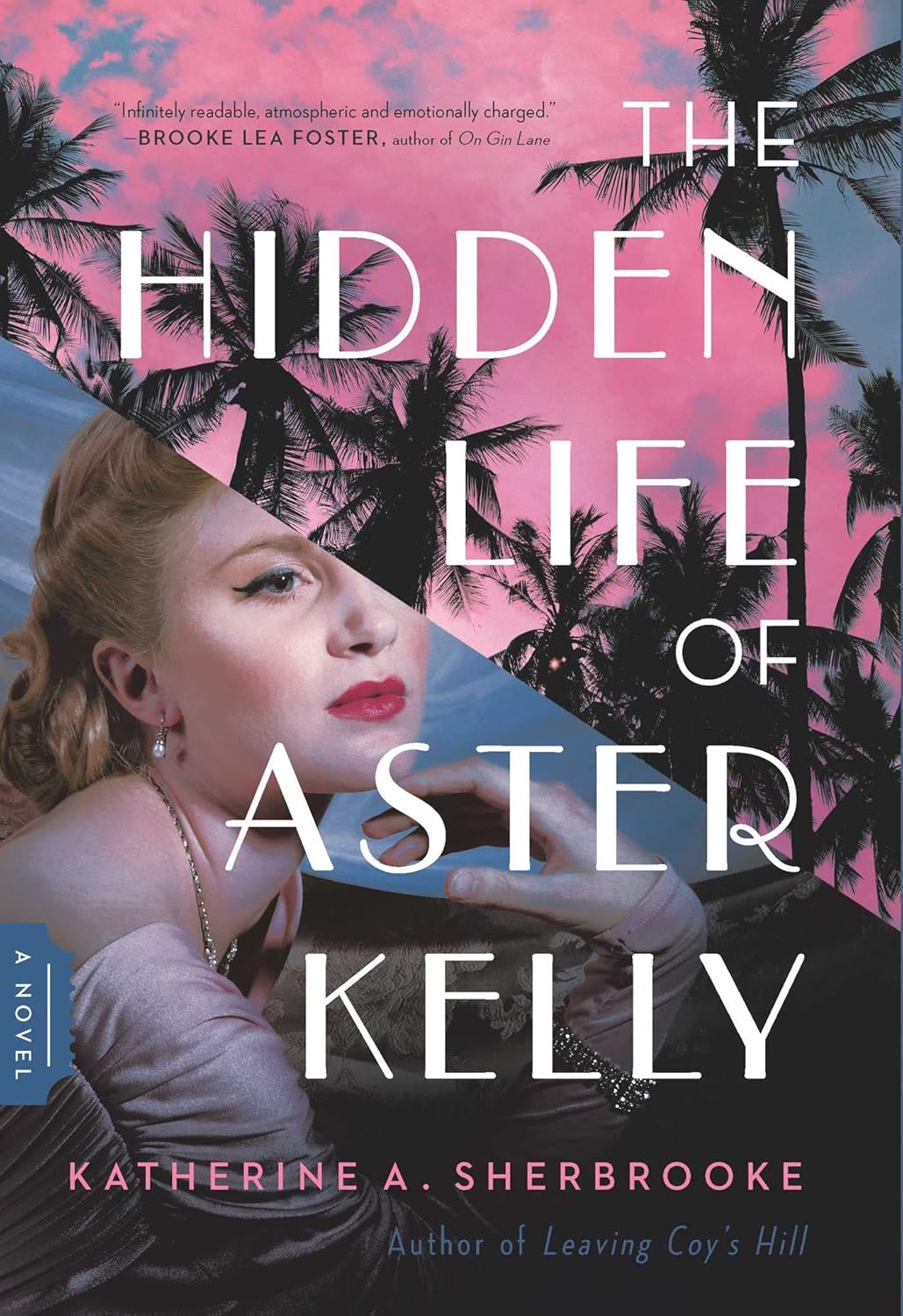 Hidden Life of Aster Kelly book cover (summer reads for mom)
