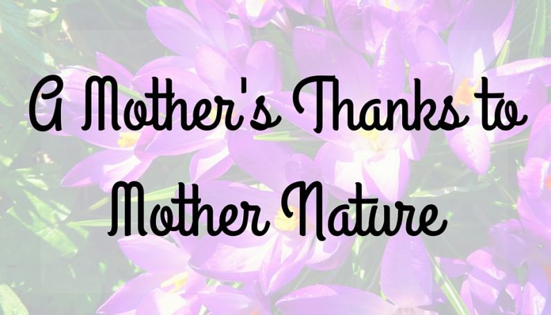A Mother's Thanks to Mother Nature-Boston Moms Blog