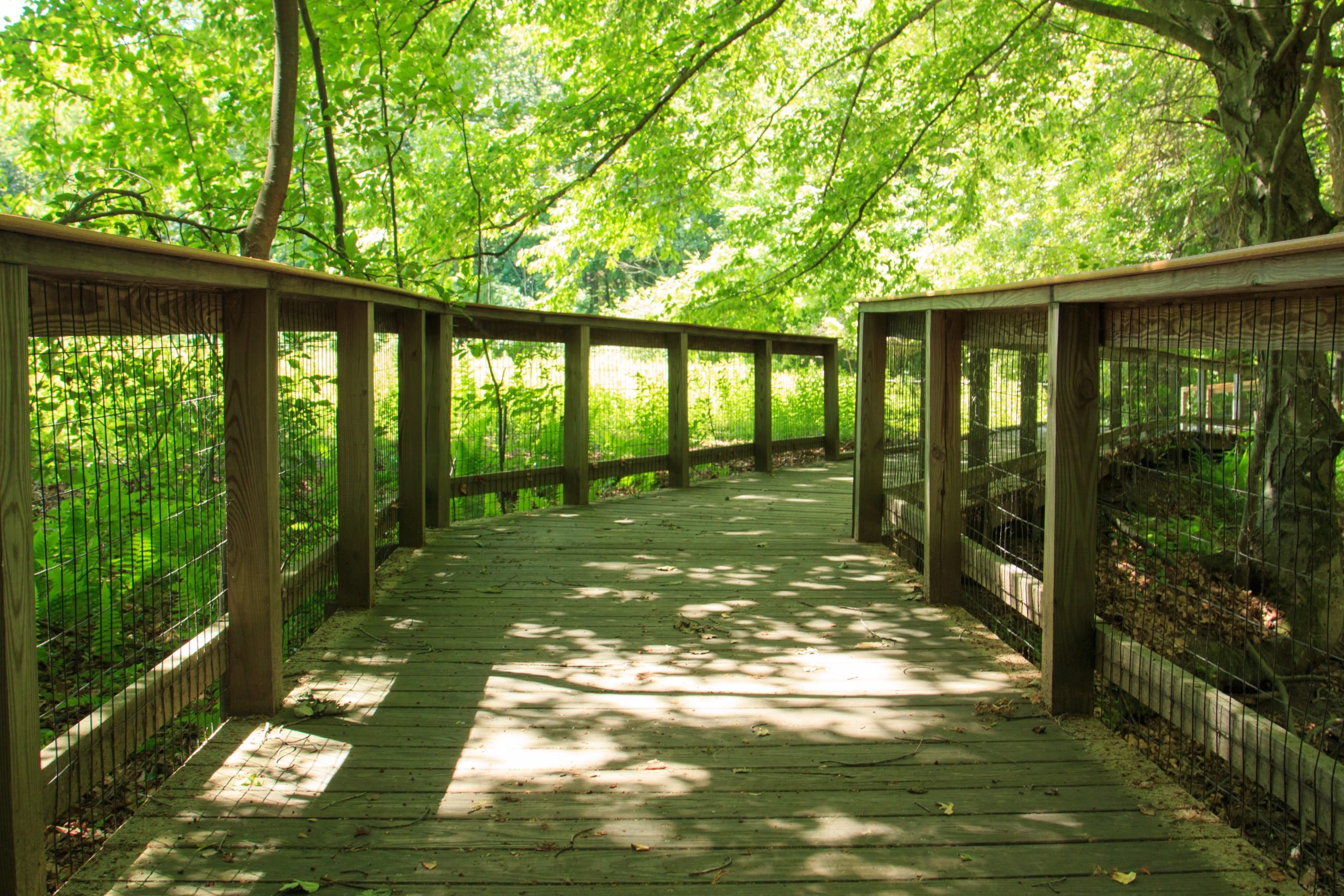 Arcadia Wildlife Sanctuary in Western MA