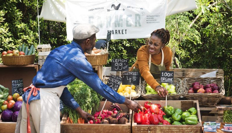 greengrocer preparing organic fresh agricultural fruits and vegetables at farmers market
