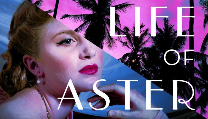 book cover of "The Hidden Life of Aster Kelly"