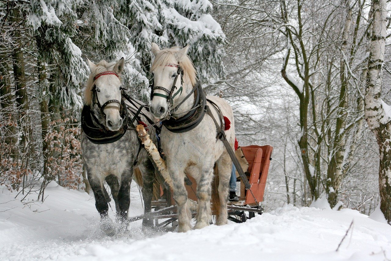 Horse drawn sleigh