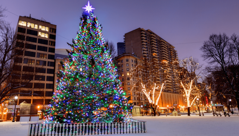 Boston Common Christmas tree lighting