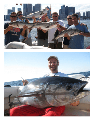 Image credit: Boston Fishing Charters