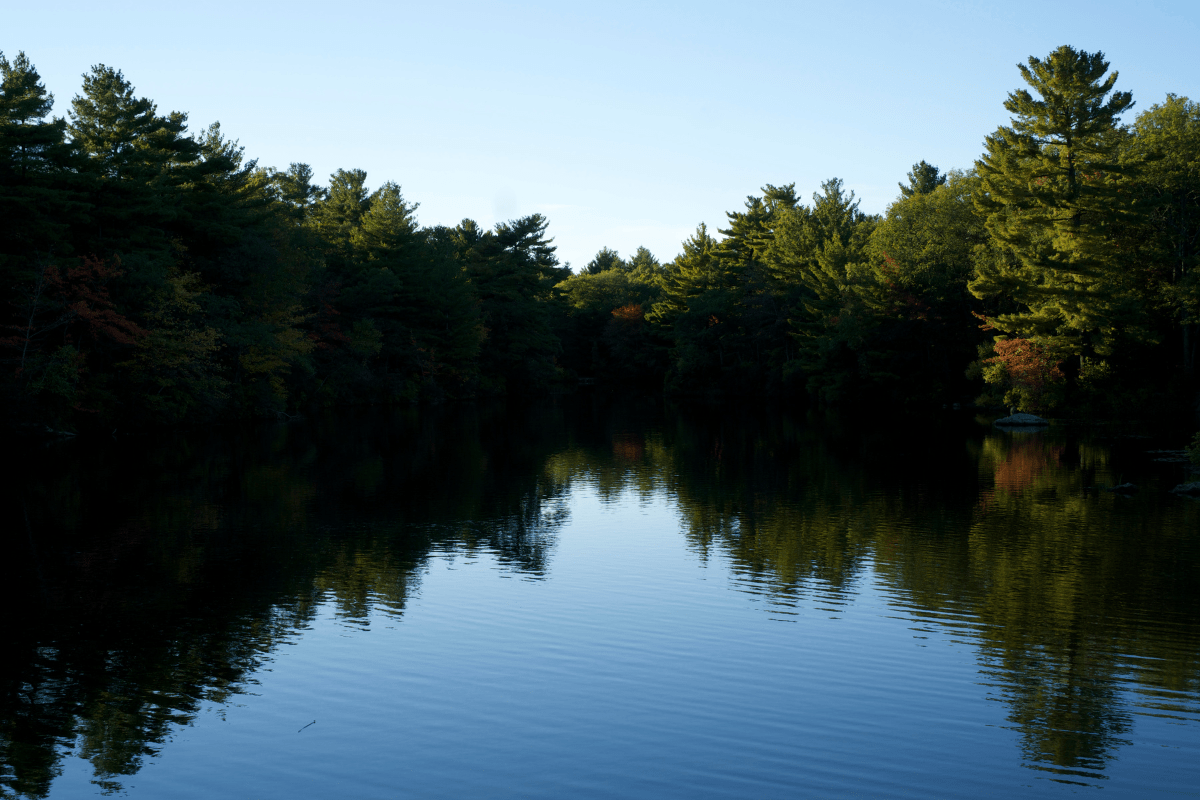 Breakheart Reservation, hikes for kids in Boston