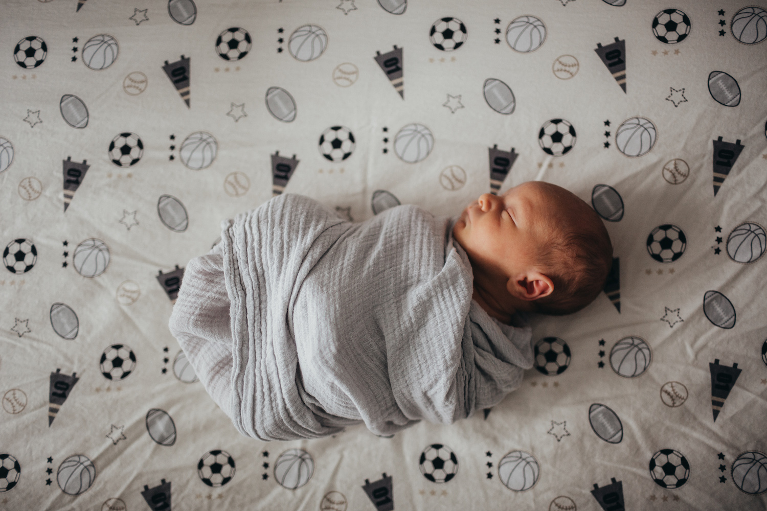 CamdenCNewborn_244