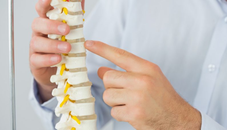 chiropractor pointing to spine