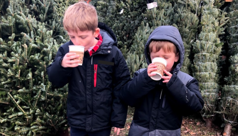 real Christmas tree - Boston Moms