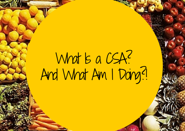 colorful fruits and vegatables-what is a CSA and what am I doing?