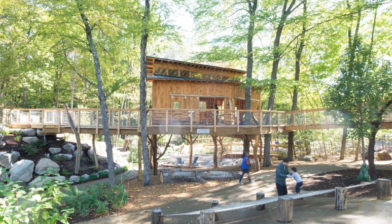 treehouse at Acton Discovery Museum (MetroWest favorites)