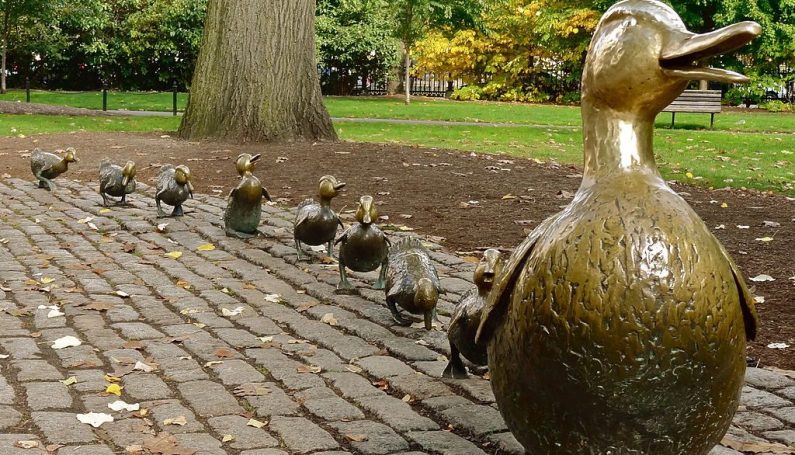 Boston Public Garden ducklings - Boston Moms