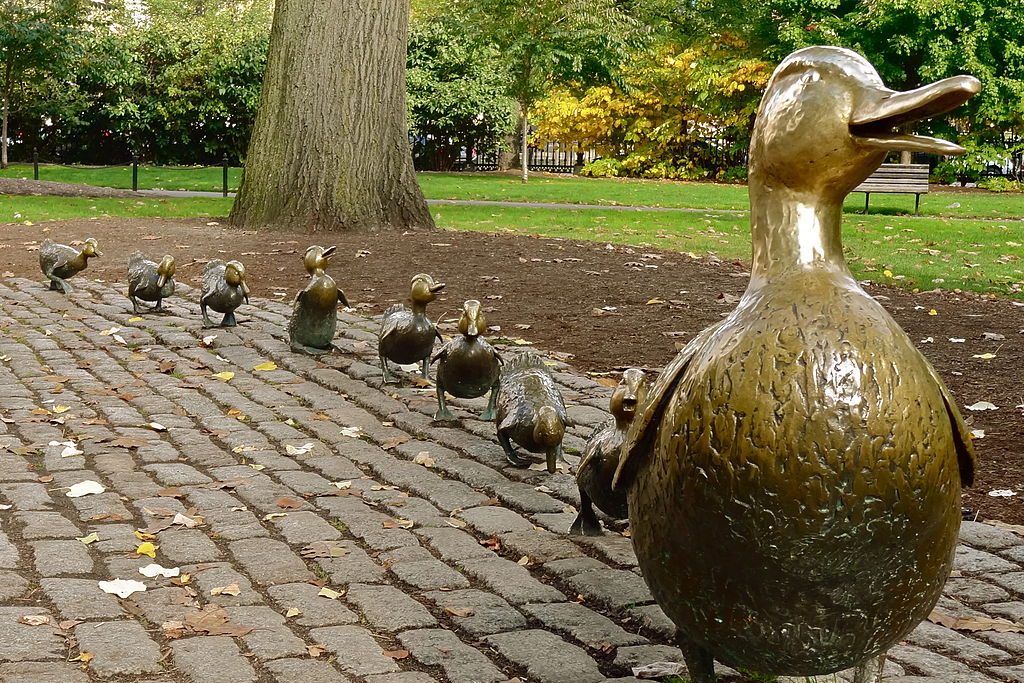 Boston Public Garden ducklings - Boston Moms