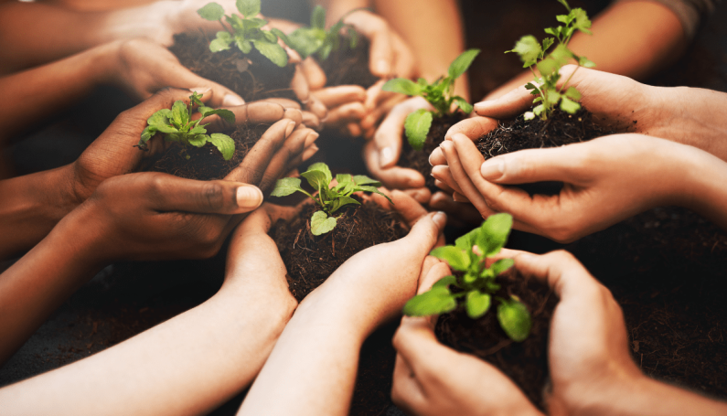 hands holding soil and seedlings (Earth Day in Boston)