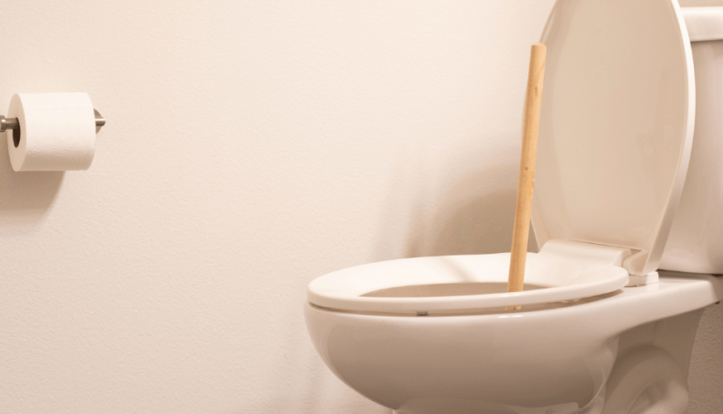 plunging toilet