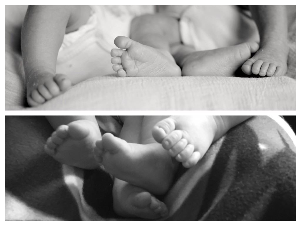 twins - Boston Moms Blog