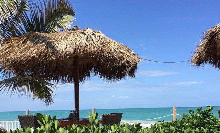 Palm trees, beach and sun in Vero Beach, Florida