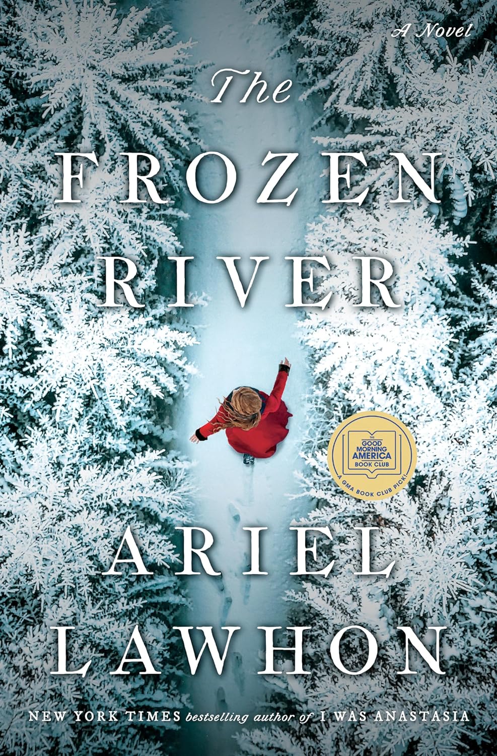 Frozen River book cover (summer reads for mom)