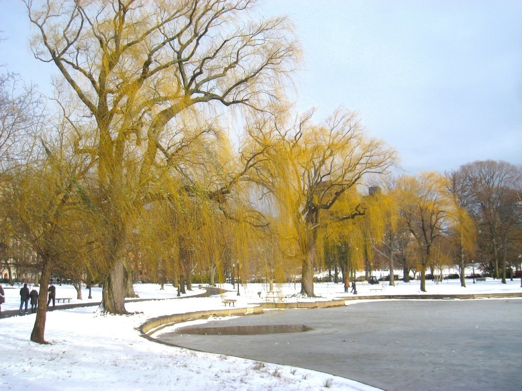 Boston Dates - Romance in Boston - Dates With Kids in Tow - Boston Moms Blog