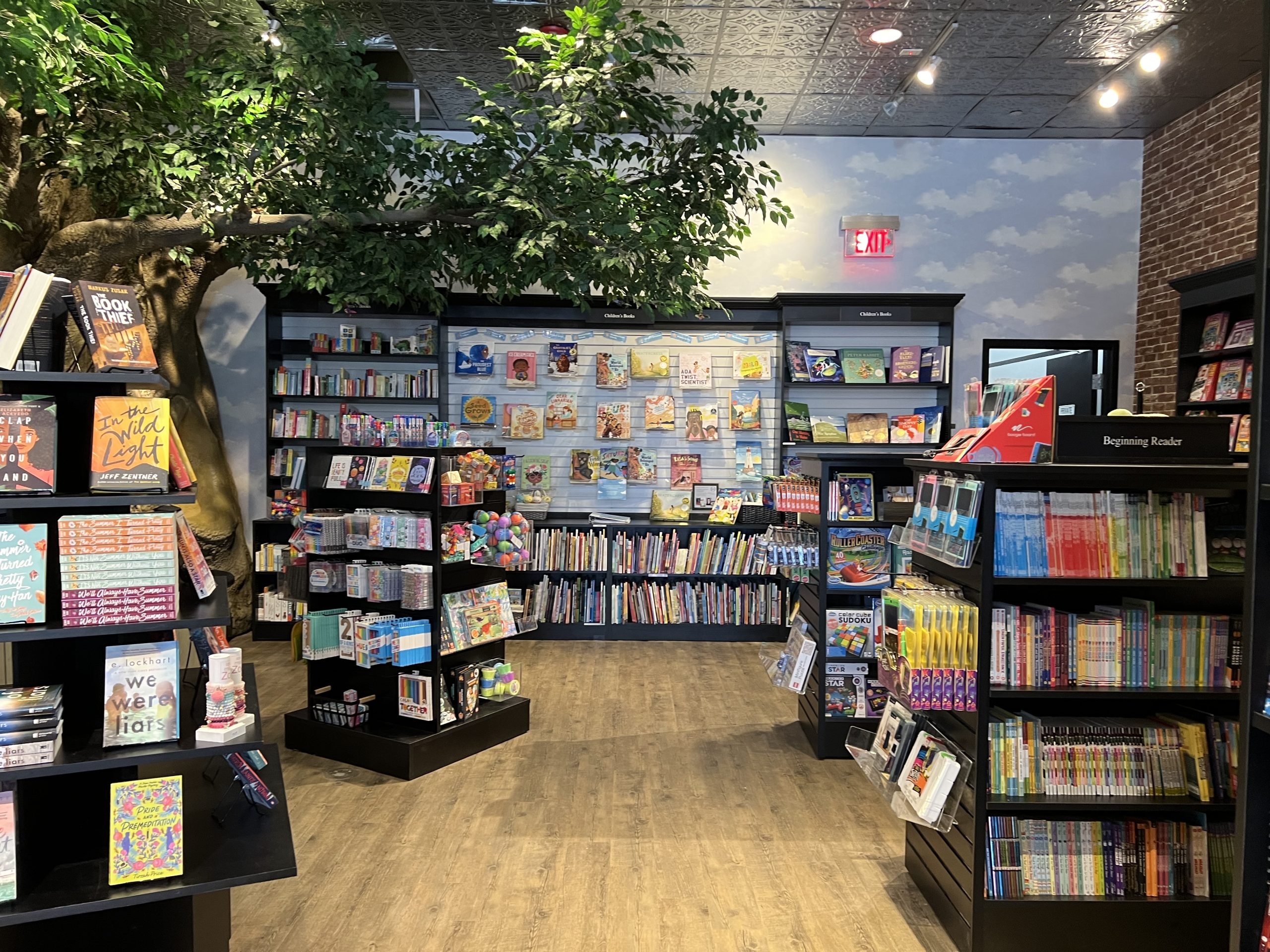 Inside of Hummingbird bookstore. Shelves lined with books and a tree in the background.