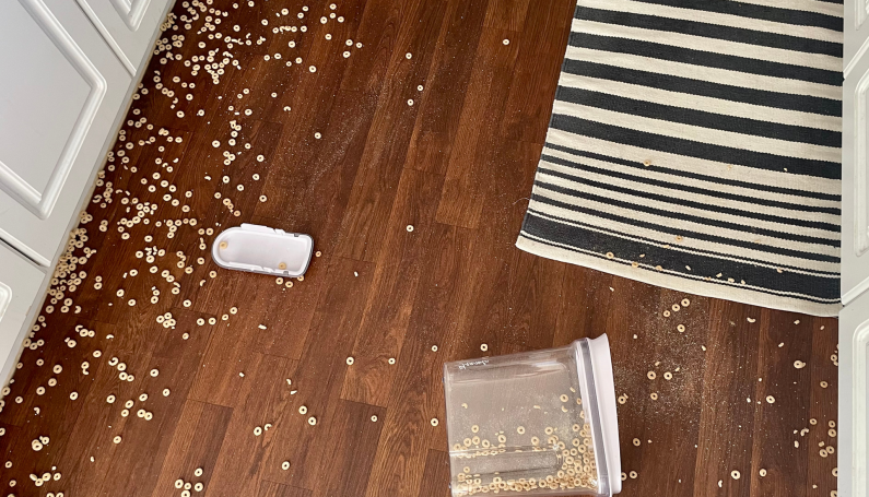 cheerios spilled on kitchen floor (growing as a parent)