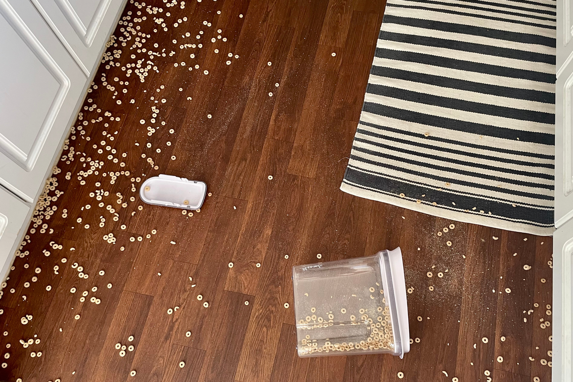 cheerios spilled on kitchen floor (growing as a parent)