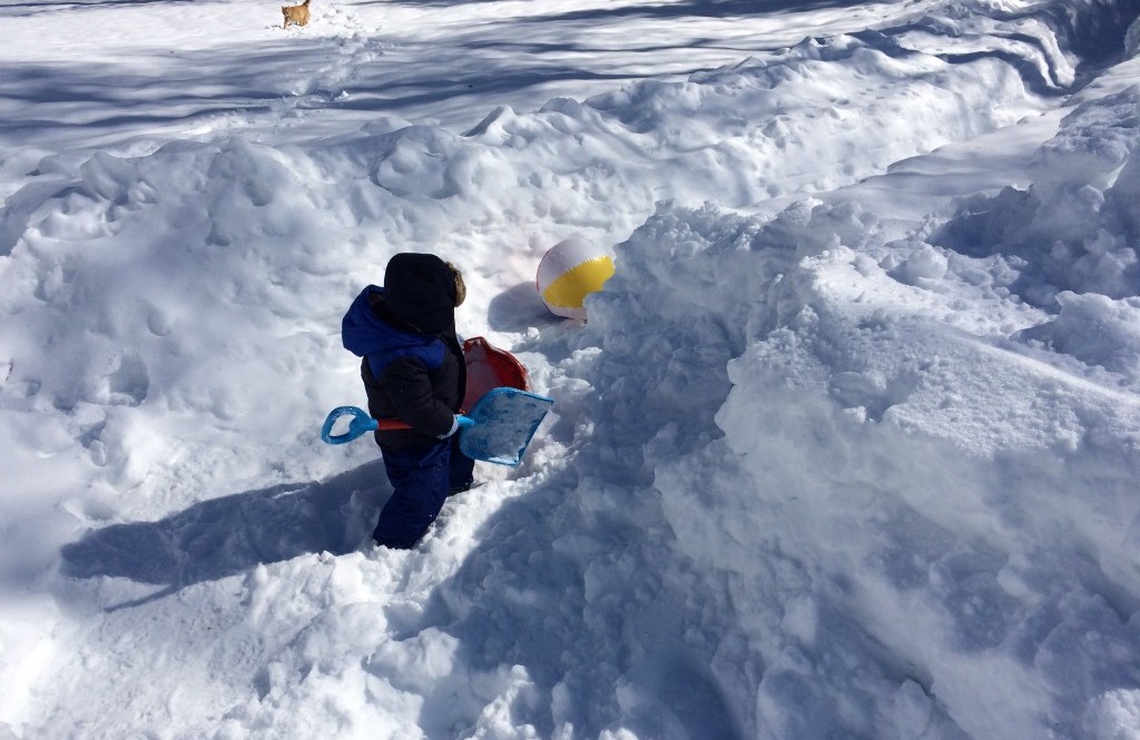 Jack in snow