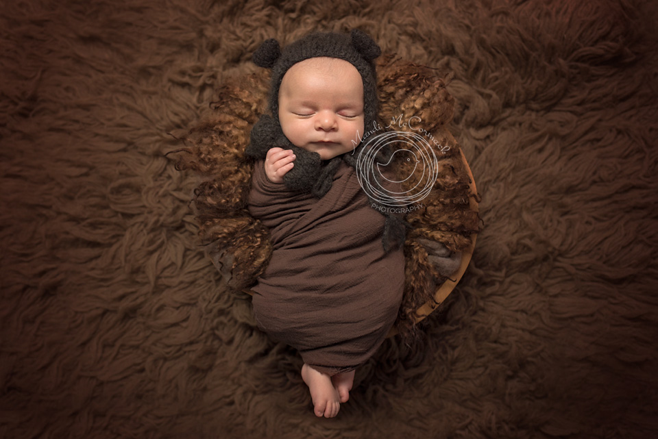 jessebear