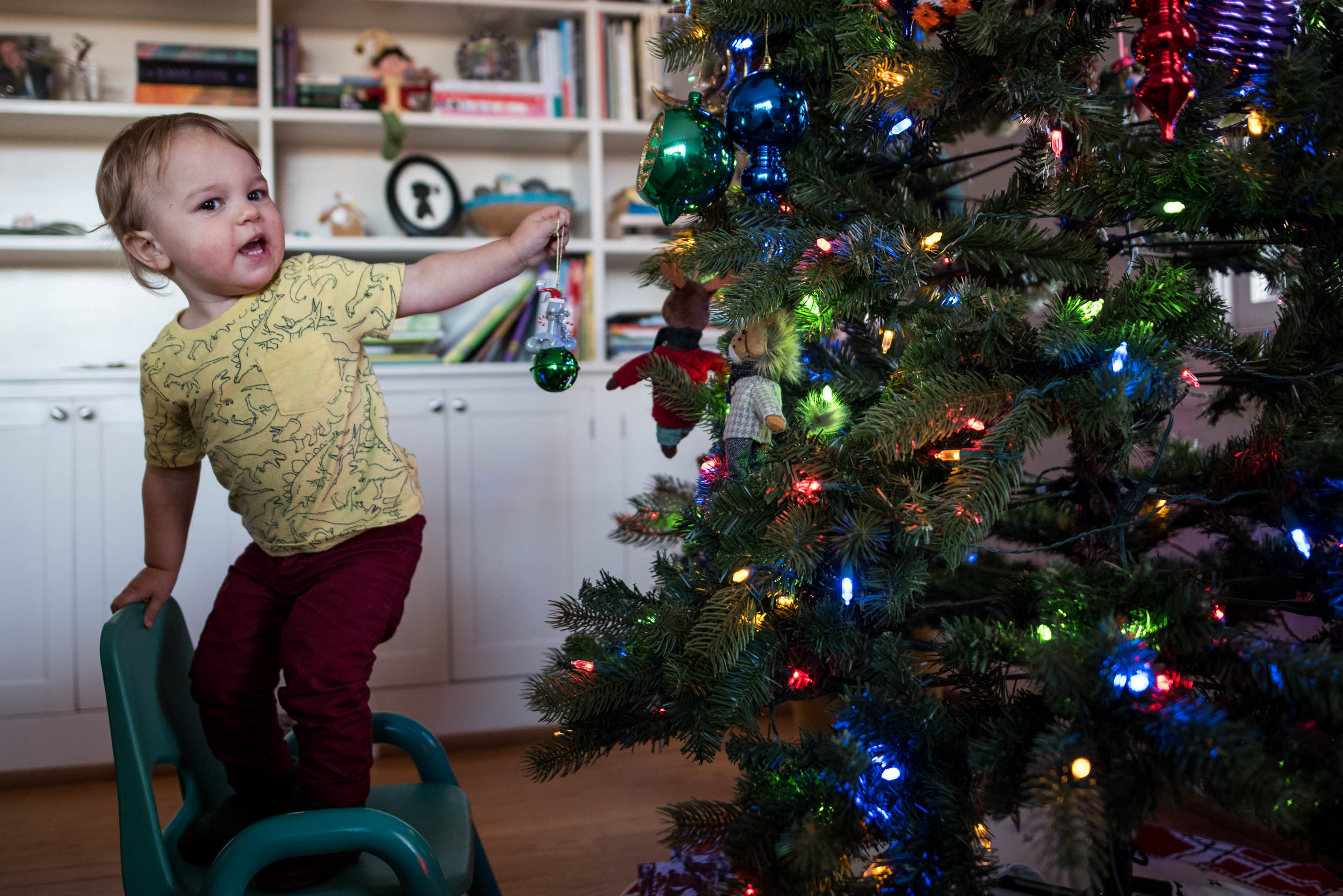 family holiday photos - Boston Moms