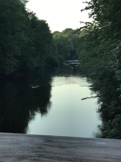 Milton Neponset River Trail 