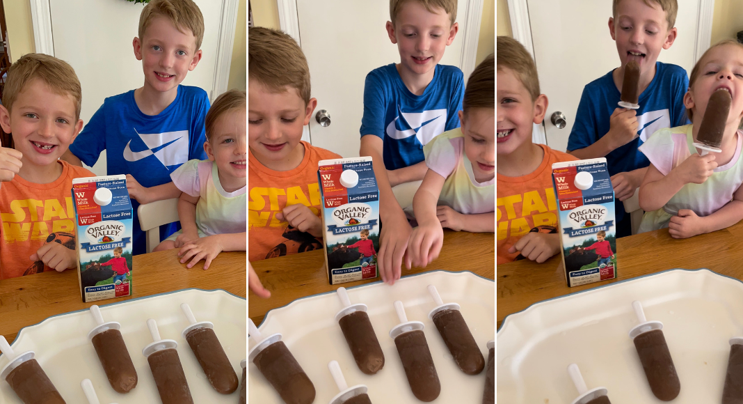 kids enjoying fudgesicle