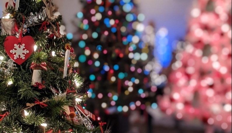 Christmas tree festival at Massachusetts Horticultural Society in Wellesley (Christmas tree festivals Boston)