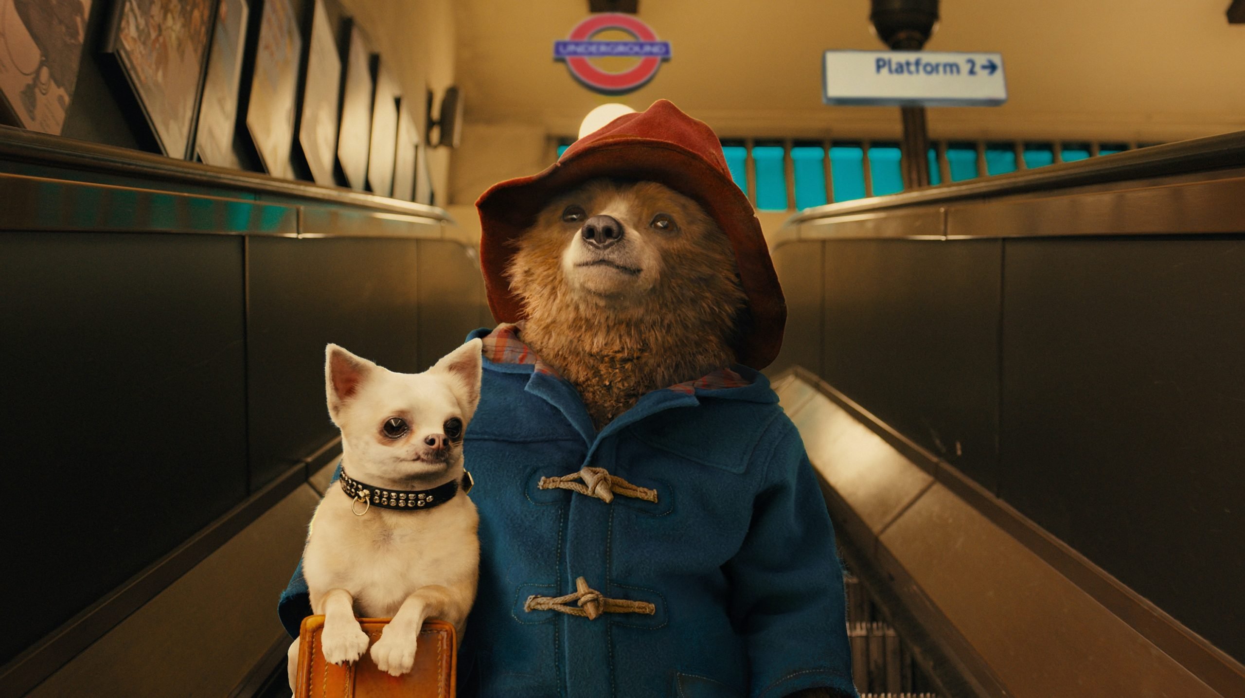Paddington (2014 UK) Directed by Paul King Shown: Paddington Bear (voice: Ben Whishaw)