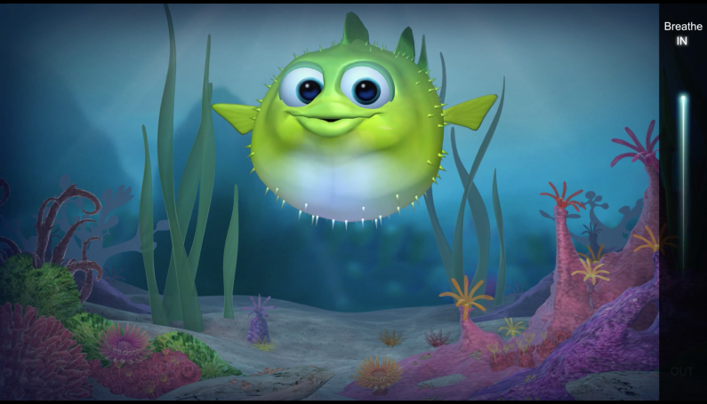 Puffer Fish belly breathing - Boston Moms