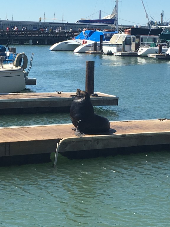 kid-free vacation - boston moms blog