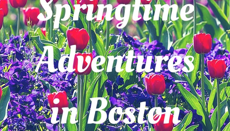 Springtime Adventures in Boston-Boston Moms Blog