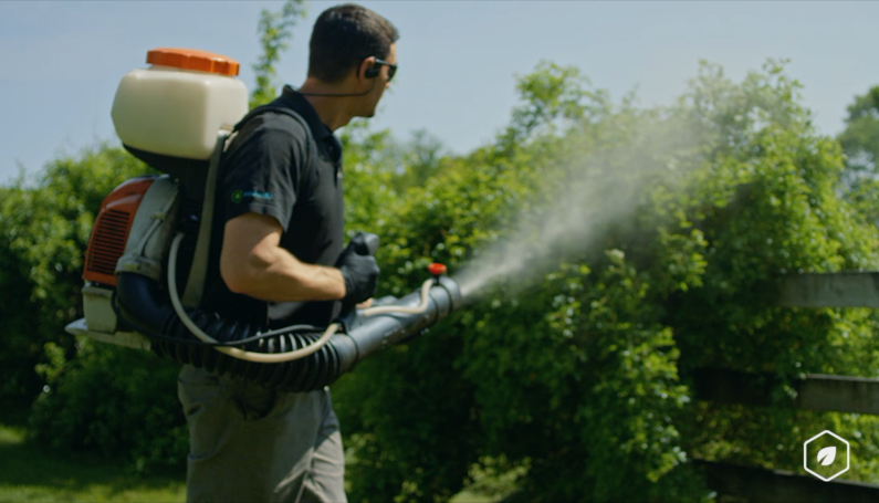 Pure Solutions ticks mosquitos - Boston Moms