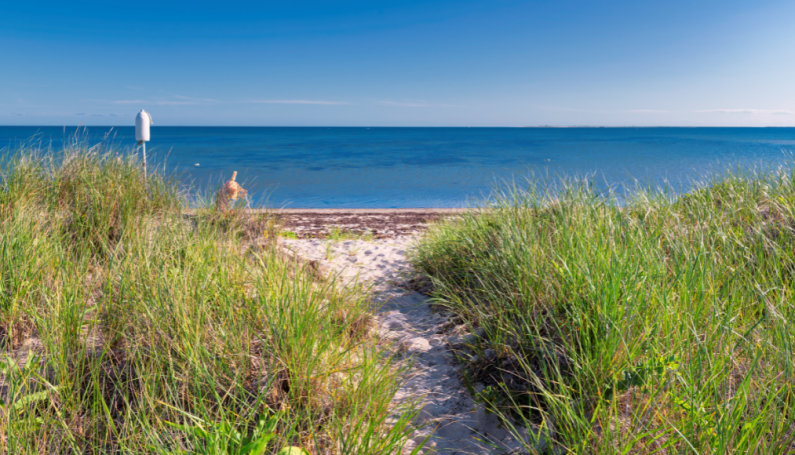 Cape Cod beach