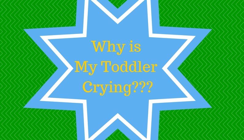 Why is My Toddler Crying---