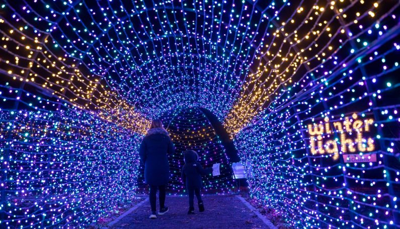 Winterlights at Eleanor Cabot Bradley Estate in Canton by the Trustees (family activities near Boston over Thanksgiving)