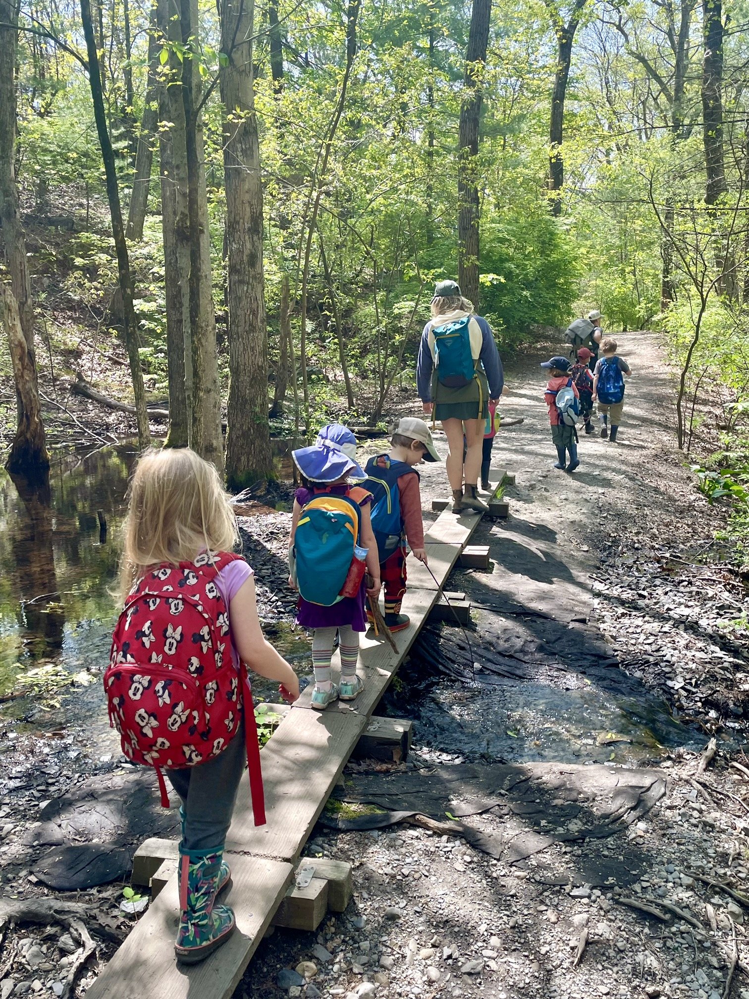 hike through Whipple Hill Conservation