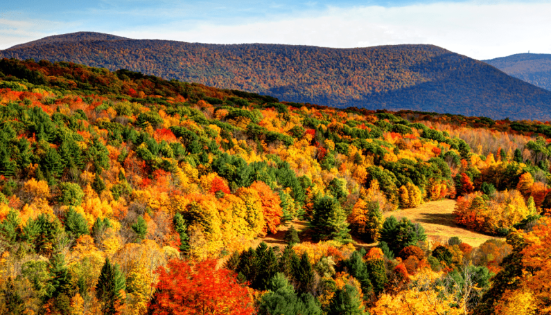 trees and hills in autumn in the Berkshires in Massachusetts