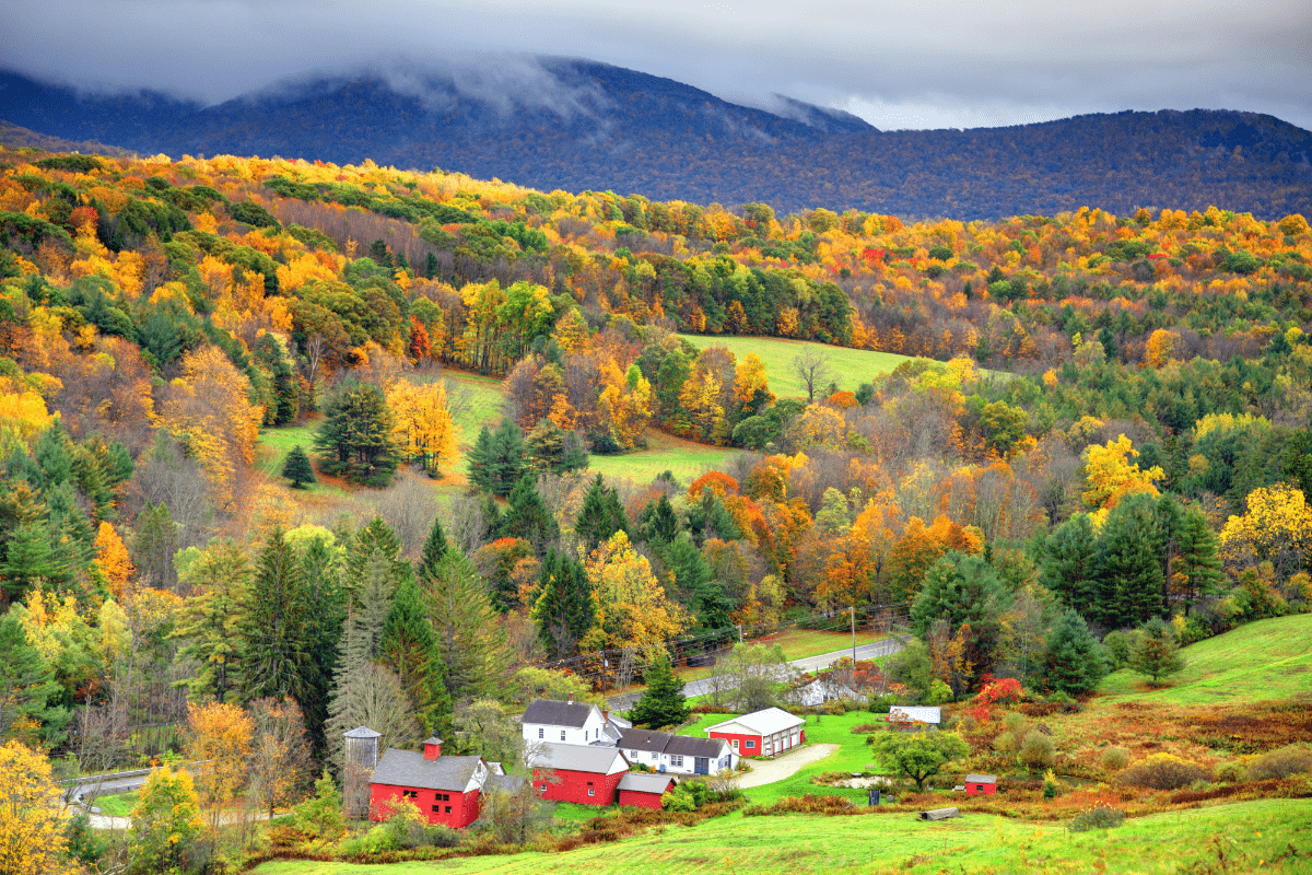 autumn foliage in the Berkshire hills taken from the Mount Greylock range